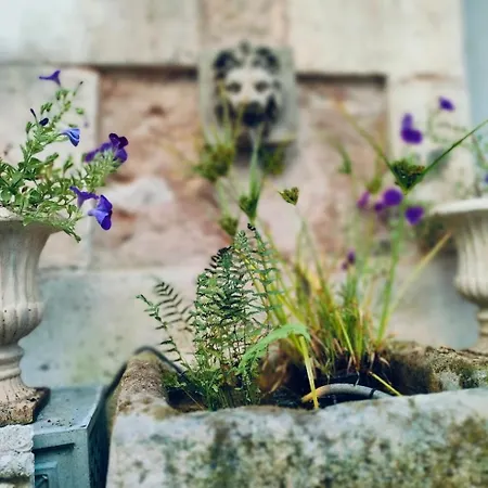 Bed & Breakfast Repos A Riberac